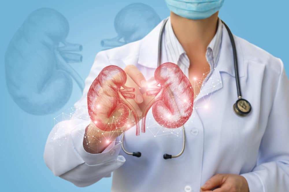Doenca-Renal-2.png