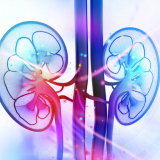Doença renal crônica
