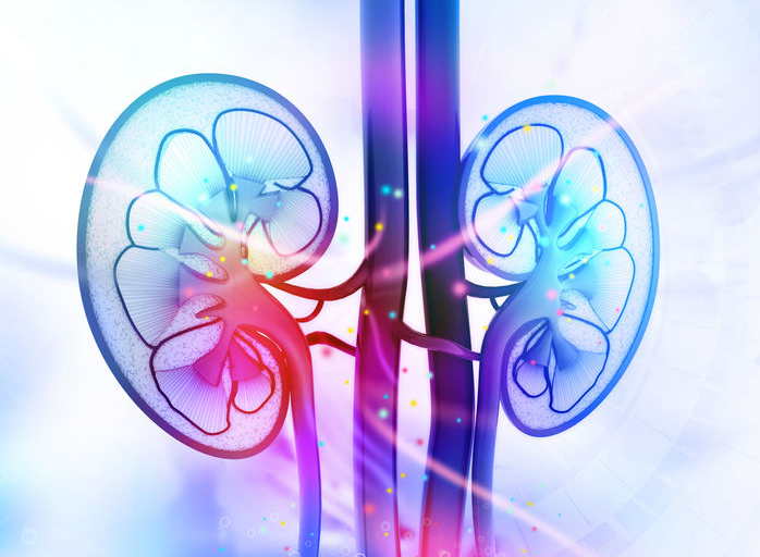 Doenca-Renal-Cronica.png